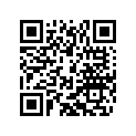 54809011000 BEA.SPACERTUBE 35X2 L=79,4 03