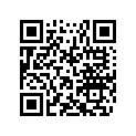 549582 Shoe Runner