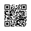 55028-0646-H8 カウリングLWRRHエボニ-