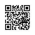 5510233 STRIP, WEAR