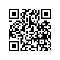 55200-29010