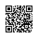55431007175 IDLING JET 17.5
