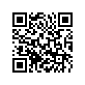 55431010000 Holder