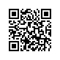 55431020000 FLOAT NEEDLE CPL.