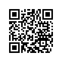 55431029430 MAIN JET 430