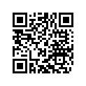 55431029450 MAIN JET 450