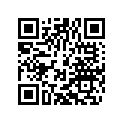 55431134100 JET NEEDLE 6BFY43-72