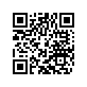55431134300 JET NEEDLE 6BFY43-74