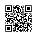 55431245000 start piston