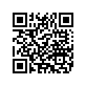 5598407 HANDLEBARRISER,CHROME