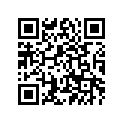 55X-11638-00-00 Поршень