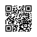 560080045 Bag