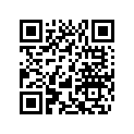 560103300 Runner Shoe (121")