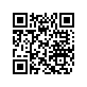560103500 RUNNER SHOE