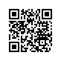 560315500 Runner Shoe
