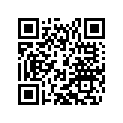 56530123000 CYL.ROLLER BEAR. NJ 207 ECP C3