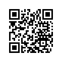 56533018300 STOP DISK 22,2 X 35 X 1,5