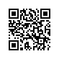 5653888 HANDLEBARRISERCAP