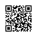 56J-83922-00-00 . Lever 2
