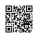 572023900 Mortaise *keyway