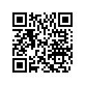 572069900 Coussinet *cushion