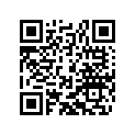 57705005000 GRAPHIT RING 28X32X20