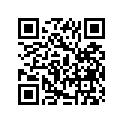 57812-19A00 .lever, Parking
