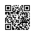 58030019000 LOCKING RING VSK 20