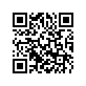 58036027000 Stop Disk 12, 2x29, 5x1