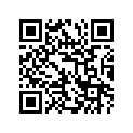 58100-87L00-019 3X14X13DF70/80