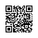 58133-ZY3-A25AH 3X14X25SS(R)