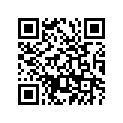 583-27421-00-00 Footrest 2