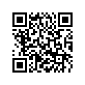 58405005001 Graphite ring 45X50X25