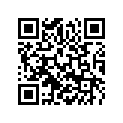59036018000 SECURING GUIDE RACING