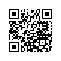 590510736