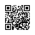 590511234