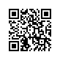 590511343