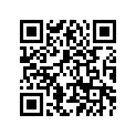 59C-22131-00-00 STAY, CHAIH CASE 1