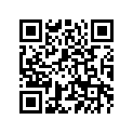 5DS-11635-00-00 ピストン (0.25MM O/S)