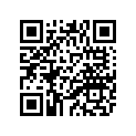 5DS-15407-00-00 Фильтр Воздушный
