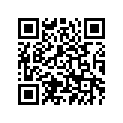 5DS-15407-01-00 Фильтр Воздушный