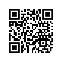 5LP-21691-00-00 FLAP