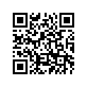 5PX-24560-00-00 Фильтр Топливный