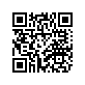 5VK-W2587-00-00 Цилиндр Тормозной
