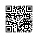5VX-W0042-51-00 Цилиндр Тормозной