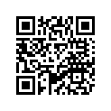 5XN-E5439-00-00 プラグ,ブラインド