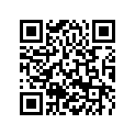 60033040020 STOP DISK 20,2/28/2,0