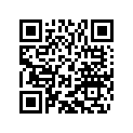 60036035250 SHIM D=10/2,50 03