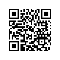 60036035255 SHIM D=10/2,55 03