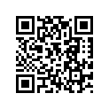 60036035275 SHIM D=10/2,75 03